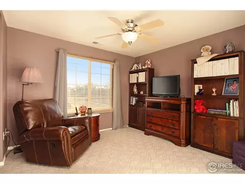 1133 E 100th Pl, Thornton, CO 80229 photo 21