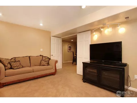 1133 E 100th Pl, Thornton, CO 80229 photo 34