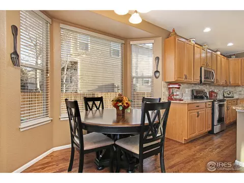 1133 E 100th Pl, Thornton, CO 80229 photo 13