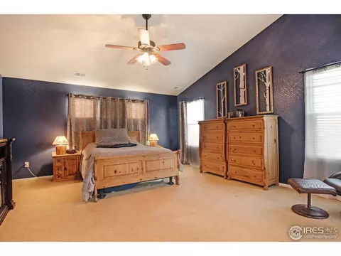 1133 E 100th Pl, Thornton, CO 80229 photo 28