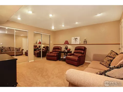1133 E 100th Pl, Thornton, CO 80229 photo 33