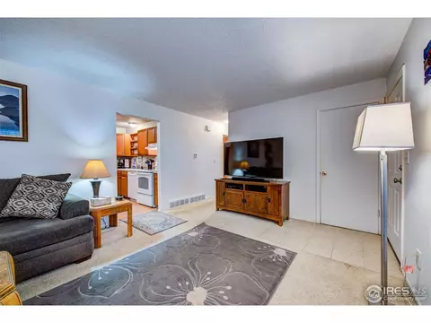 3839 E 113th Ave, Thornton, CO 80233 photo 5