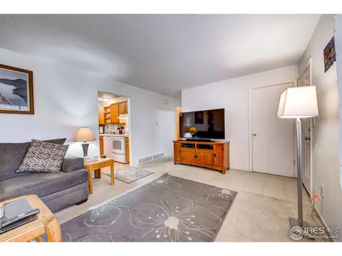 3839 E 113th Ave, Thornton, CO 80233 photo 4