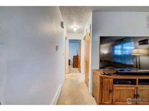 3839 E 113th Ave, Thornton, CO 80233 photo 6