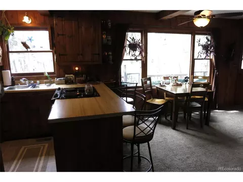 258 E Dory Dr, Black Hawk, CO 80422 photo 4
