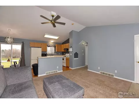 909 Mesa Ct, Windsor, CO 80550 photo 15