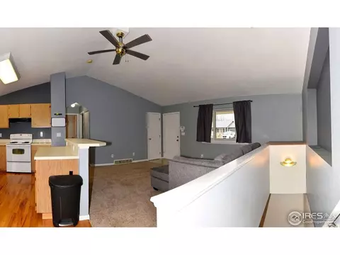 909 Mesa Ct, Windsor, CO 80550 photo 17