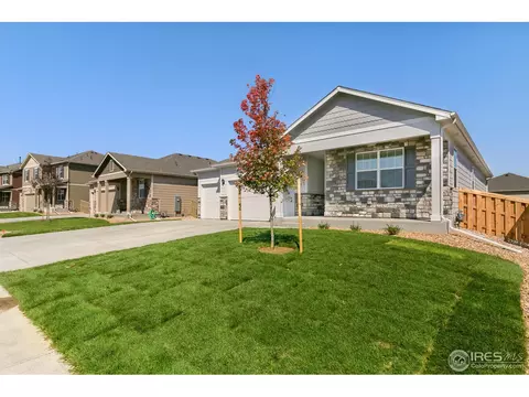 1658 Highfield Dr, Windsor, CO 80550 photo 2