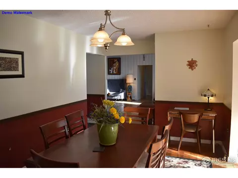 399 May Ave, Lyons, CO 80540 photo 20