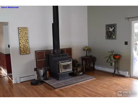 399 May Ave, Lyons, CO 80540 photo 14