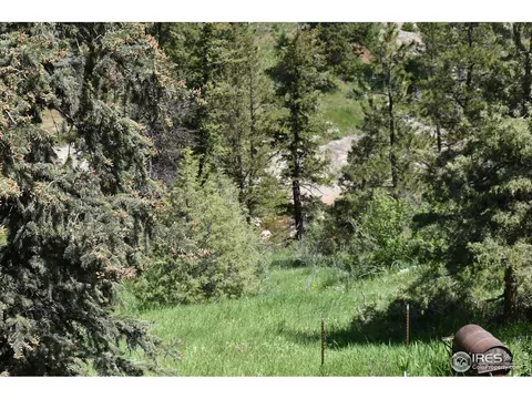 399 May Ave, Lyons, CO 80540 photo 38