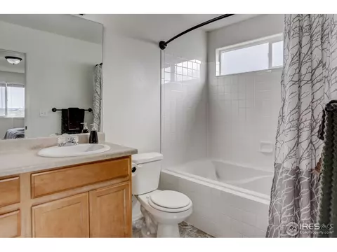 250 Pinebrook Ct, Windsor, CO 80550 photo 18