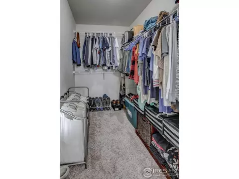 250 Pinebrook Ct, Windsor, CO 80550 photo 24