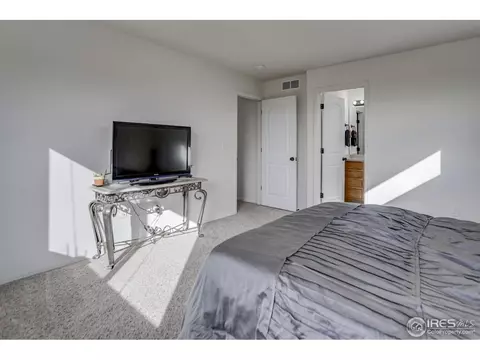250 Pinebrook Ct, Windsor, CO 80550 photo 23