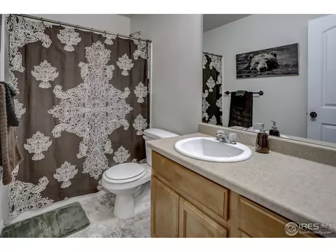 250 Pinebrook Ct, Windsor, CO 80550 photo 21