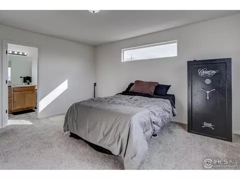 250 Pinebrook Ct, Windsor, CO 80550 photo 16