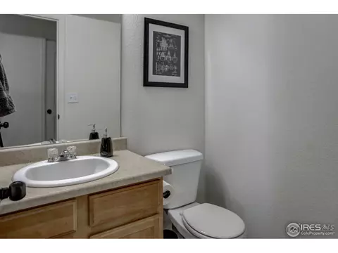 250 Pinebrook Ct, Windsor, CO 80550 photo 22