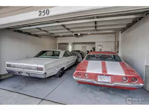 250 Pinebrook Ct, Windsor, CO 80550 photo 30