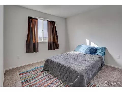 250 Pinebrook Ct, Windsor, CO 80550 photo 20