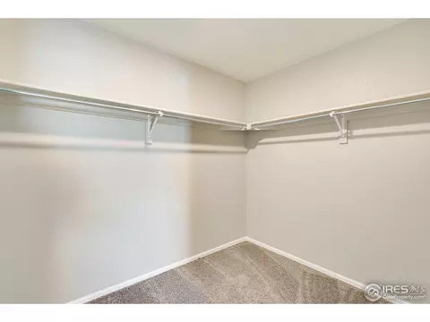 414 Harrow St, Severance, CO 80550 photo 21