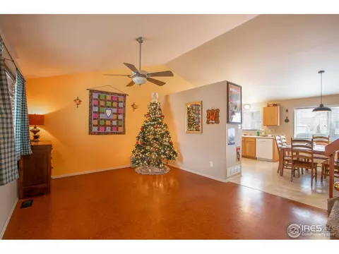 5461 Fox Run Blvd, Frederick, CO 80504 photo 5