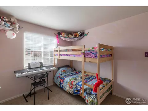 5461 Fox Run Blvd, Frederick, CO 80504 photo 28