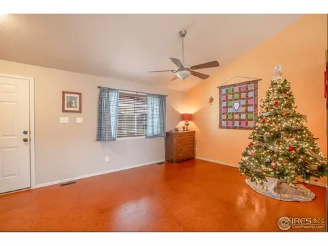 5461 Fox Run Blvd, Frederick, CO 80504 photo 6