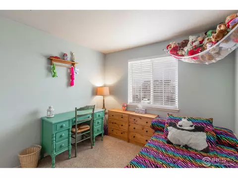 5461 Fox Run Blvd, Frederick, CO 80504 photo 27
