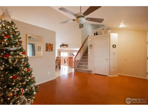 5461 Fox Run Blvd, Frederick, CO 80504 photo 7