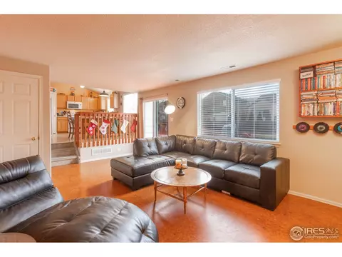 5461 Fox Run Blvd, Frederick, CO 80504 photo 14