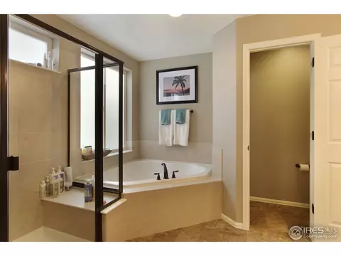 2146 Longfin Dr, Windsor, CO 80550 photo 22