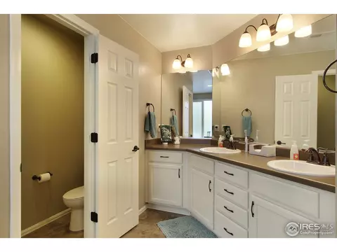 2146 Longfin Dr, Windsor, CO 80550 photo 23