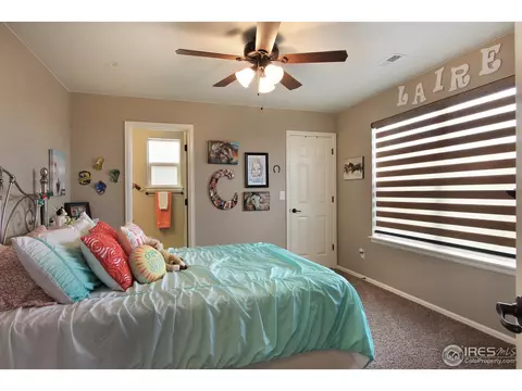 2146 Longfin Dr, Windsor, CO 80550 photo 25