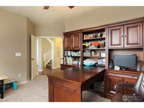 2146 Longfin Dr, Windsor, CO 80550 photo 16