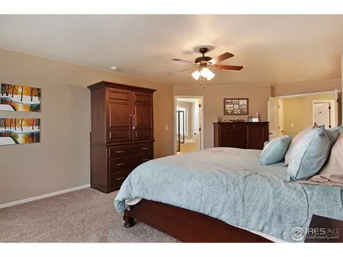 2146 Longfin Dr, Windsor, CO 80550 photo 19