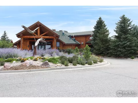 2146 Longfin Dr, Windsor, CO 80550 photo 35