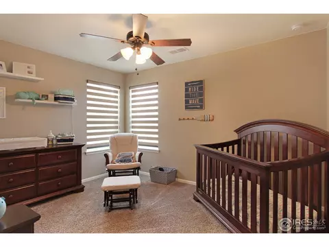 2146 Longfin Dr, Windsor, CO 80550 photo 24