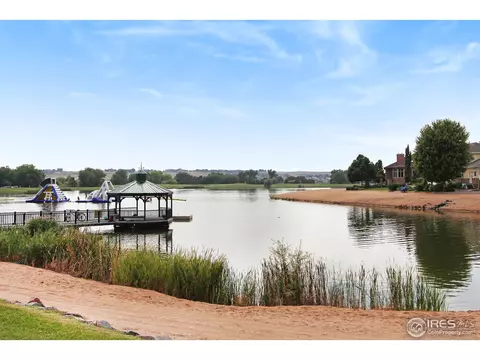 2146 Longfin Dr, Windsor, CO 80550 photo 34