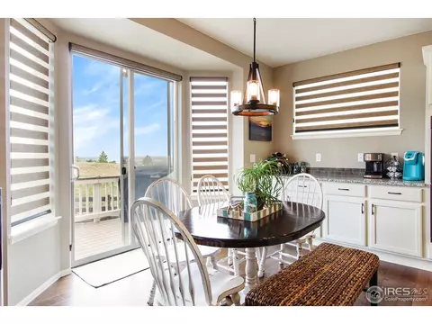 2146 Longfin Dr, Windsor, CO 80550 photo 8