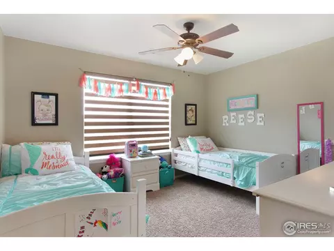 2146 Longfin Dr, Windsor, CO 80550 photo 27