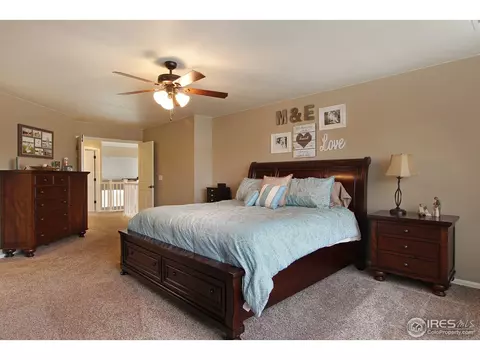 2146 Longfin Dr, Windsor, CO 80550 photo 20