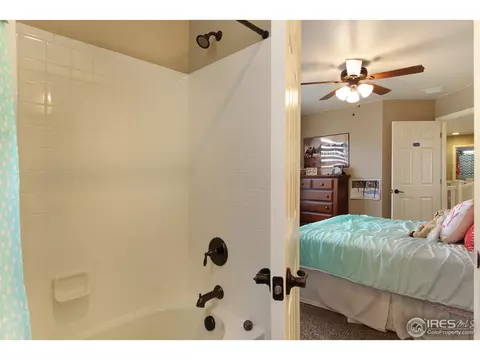2146 Longfin Dr, Windsor, CO 80550 photo 26