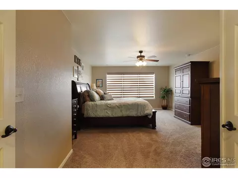 2146 Longfin Dr, Windsor, CO 80550 photo 18