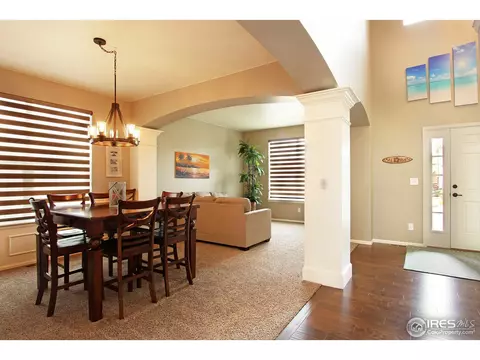 2146 Longfin Dr, Windsor, CO 80550 photo 4
