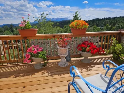 219 Dewell Rd, Woodland Park, CO 80863