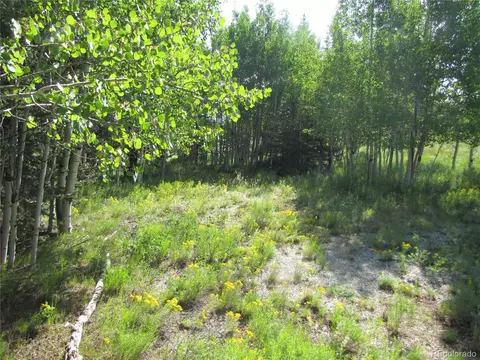 1213 Windmill Dr, Hartsel, CO 80449 photo 3