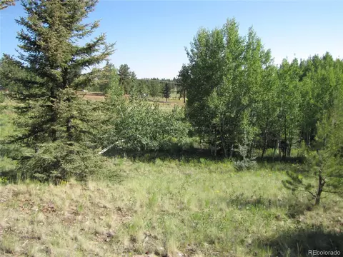 1213 Windmill Dr, Hartsel, CO 80449 photo 12