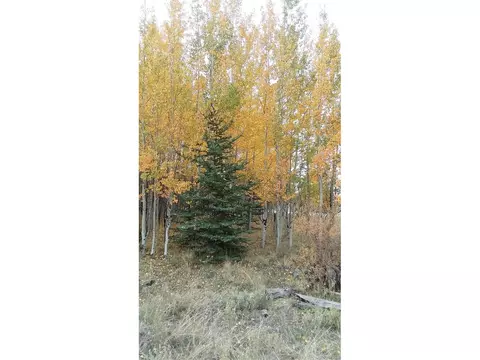1213 Windmill Dr, Hartsel, CO 80449 photo 32