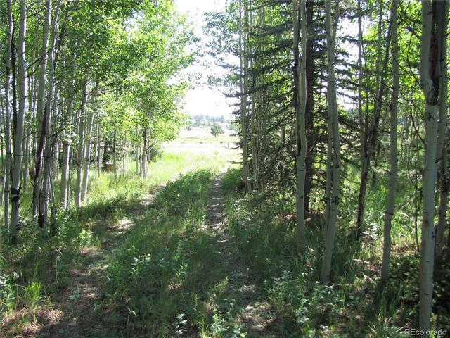 1213 Windmill Dr, Hartsel, CO 80449