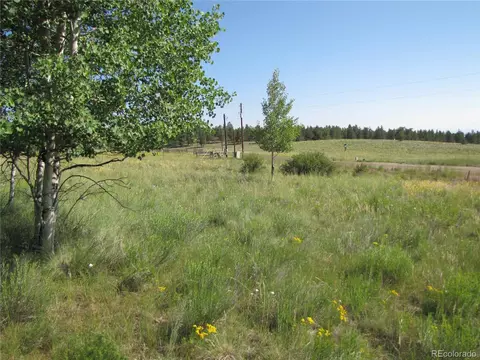1213 Windmill Dr, Hartsel, CO 80449 photo 25